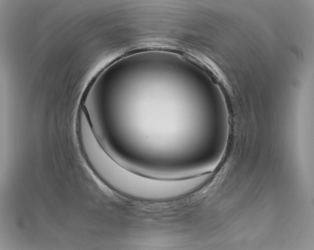 X0000111531285200907141520