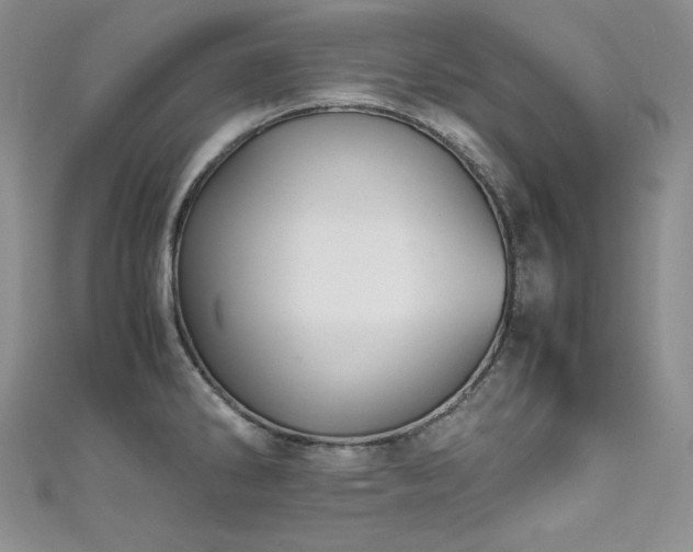 X0000111531286200907141520