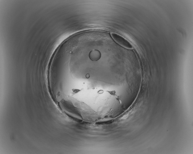 X0000111531291200907141520