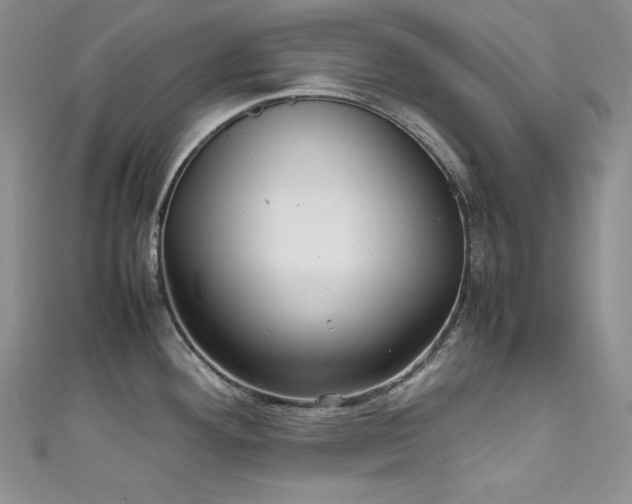 X0000111531292200907141520