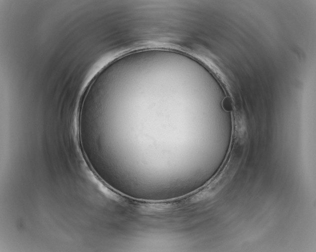 X0000111531294200907141520