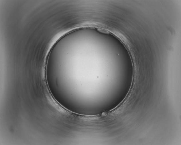 X0000111531296200907141520