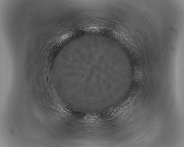 X0000111531297200907141520