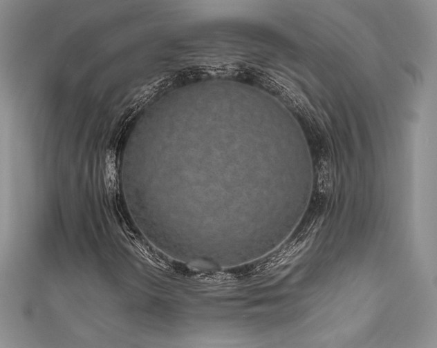 X0000111531298200907141520