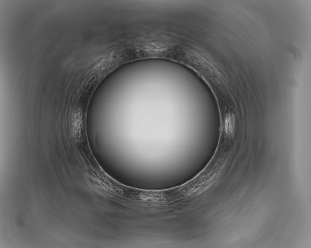 X0000111531299200907141520