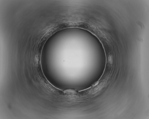 X0000111531300200907141520