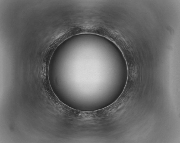 X0000111531301200907141520