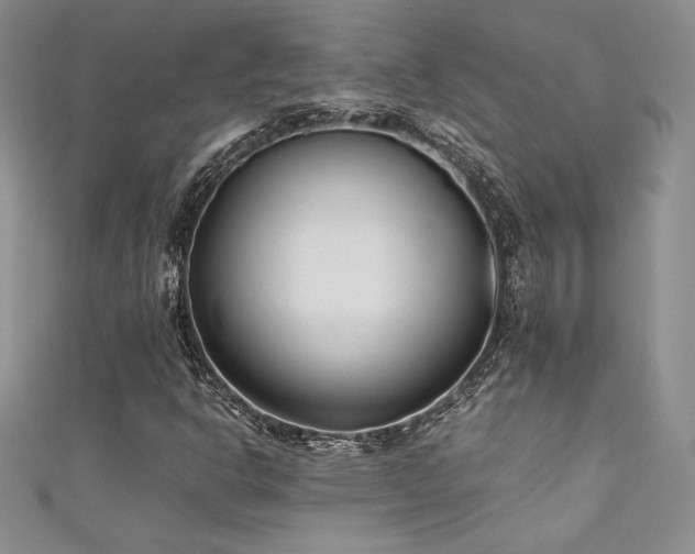 X0000111531302200907141520