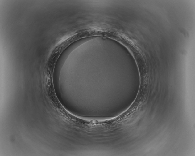 X0000111531303200907141520