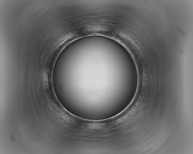 X0000111531305200907141520