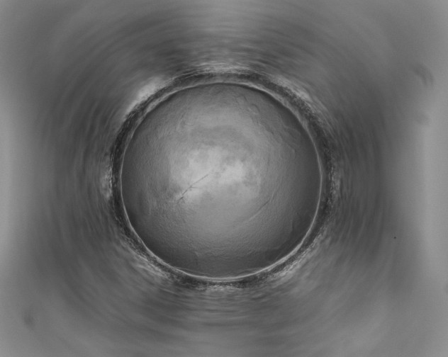 X0000111531306200907141520