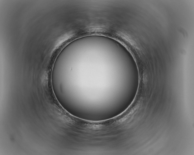 X0000111531309200907141520