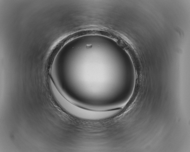 X0000111531310200907141520