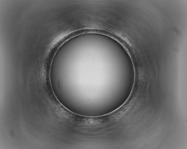 X0000111531311200907141520