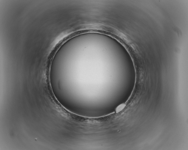 X0000111531312200907141520