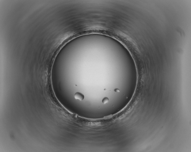 X0000111531313200907141520