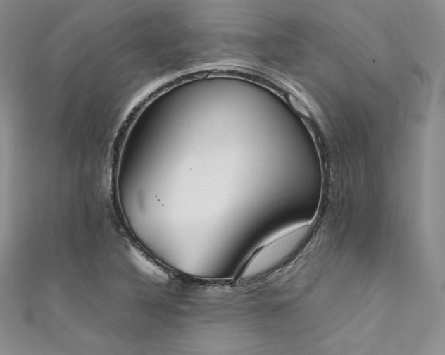 X0000111531316200907141520