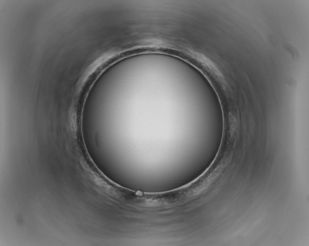 X0000111531318200907141520