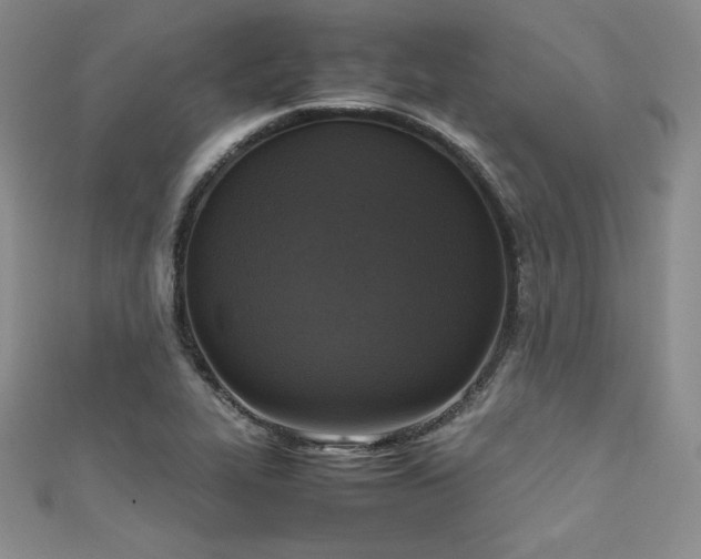 X0000111531319200907141520