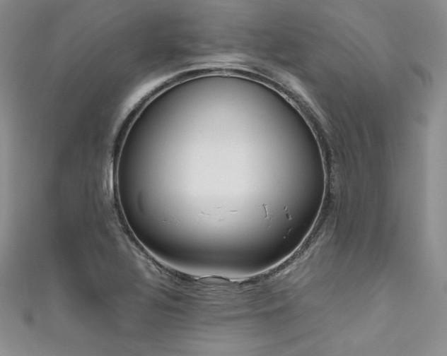 X0000111531320200907141520