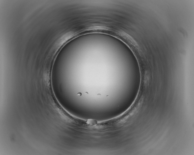 X0000111531321200907141520