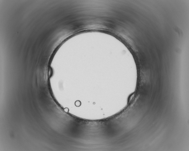 X0000111531322200907141520