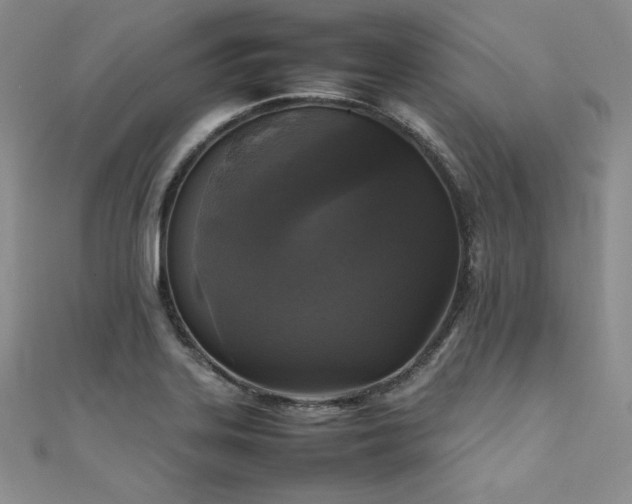 X0000111531323200907141520