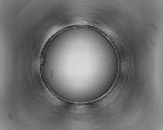 X0000111531326200907141520