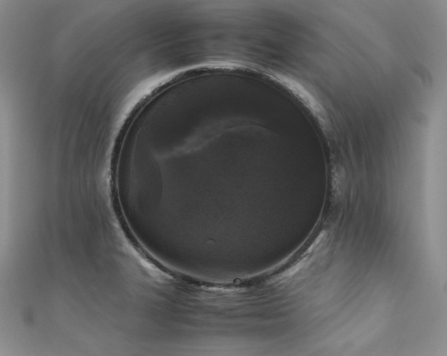 X0000111531327200907141520