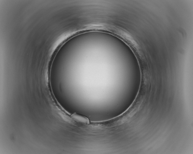 X0000111531328200907141520