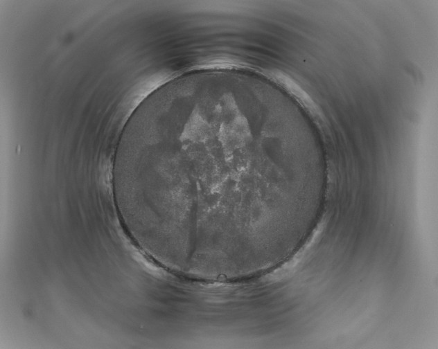 X0000111531329200907141520