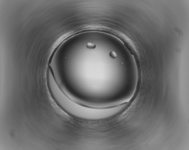 X0000111531330200907141520