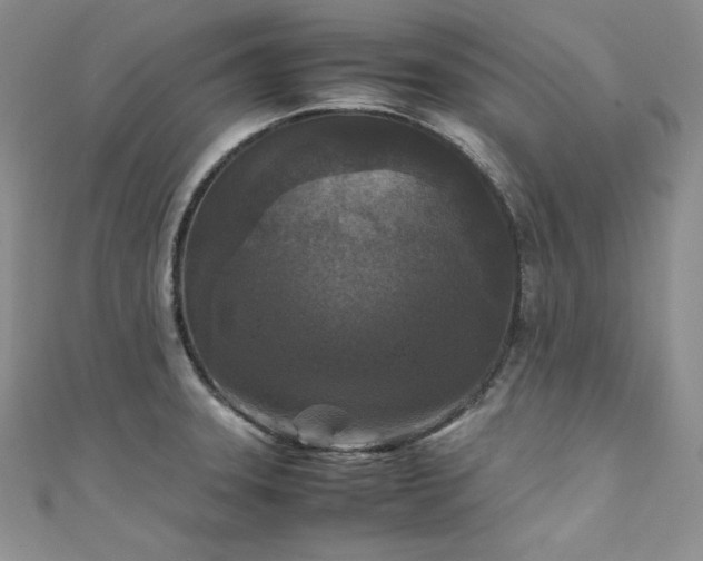 X0000111531331200907141520