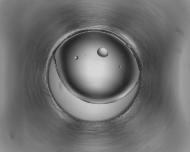 X0000111531332200907141520