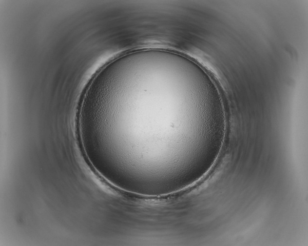 X0000111531333200907141520