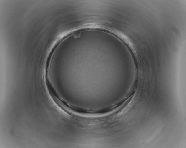 X0000111531334200907141520