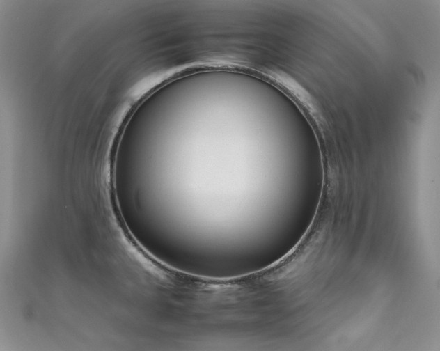 X0000111531335200907141520