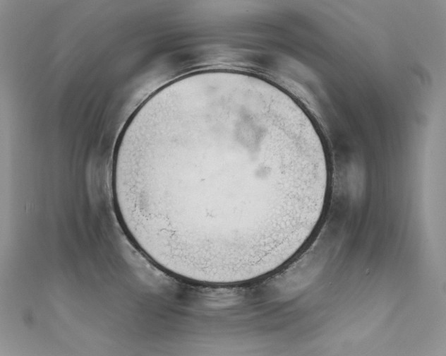 X0000111531338200907141520