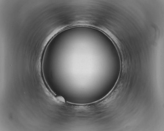 X0000111531341200907141520