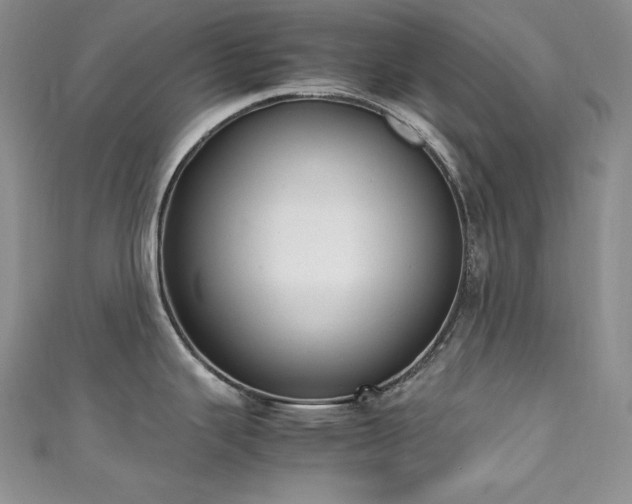 X0000111531343200907141520