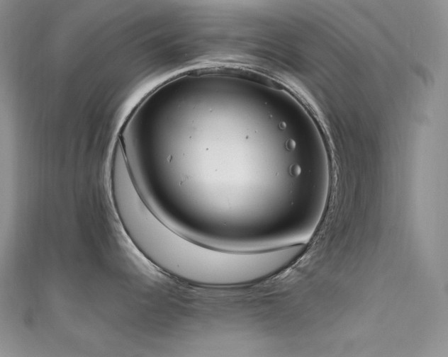 X0000111531344200907141520