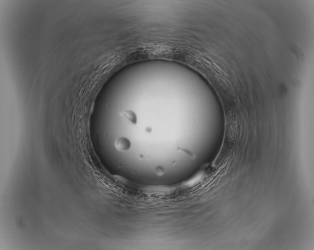 X0000111531345200907141520