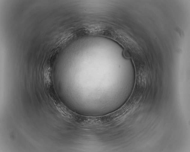 X0000111531346200907141520