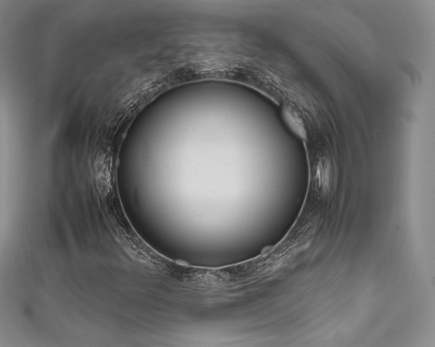 X0000111531348200907141520