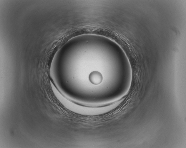 X0000111531349200907141520