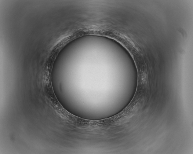 X0000111531350200907141520