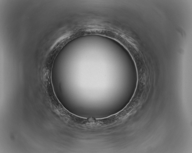 X0000111531351200907141520