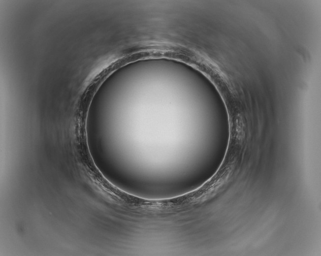 X0000111531352200907141520