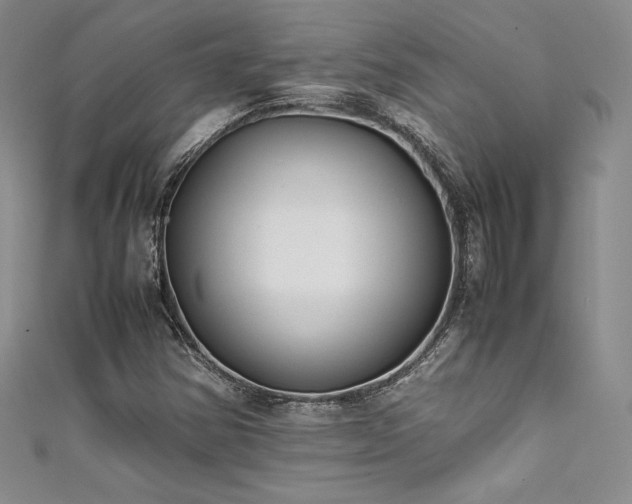 X0000111531354200907141520