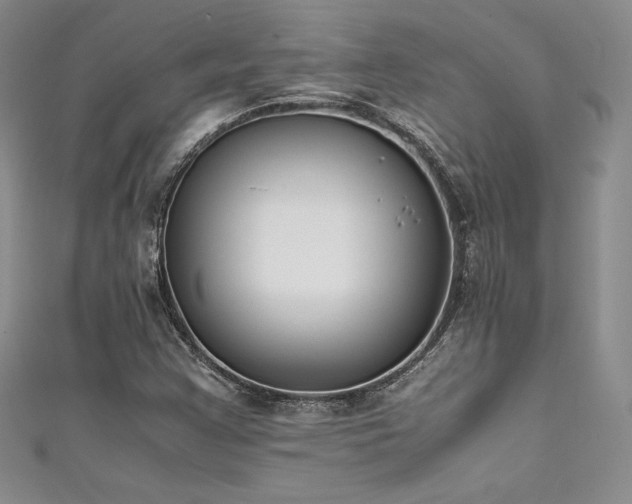 X0000111531355200907141519